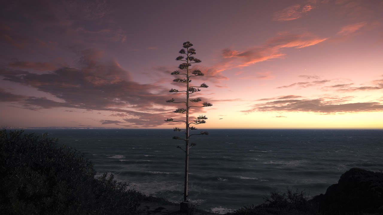 How to Paint A Realistic Sunset: A Step-By-Step Guide